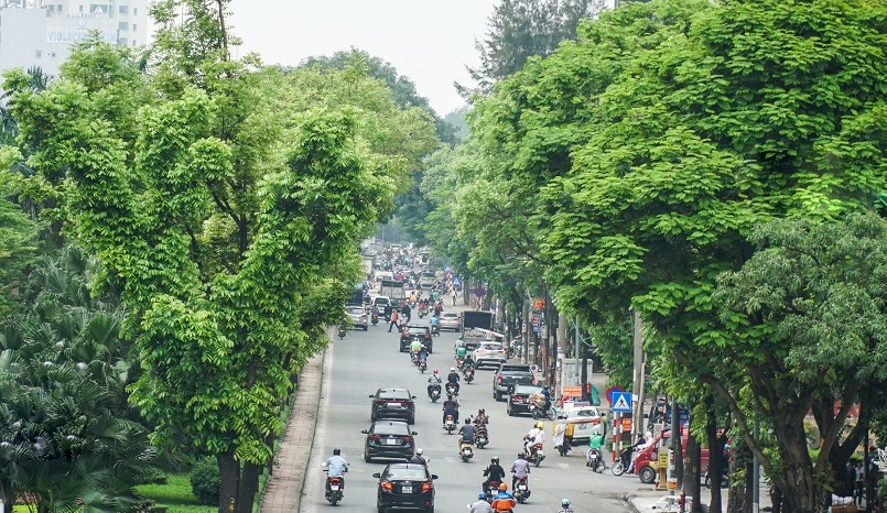 Hàng cây dọc đường Hoàng Quốc Việt đều xanh tốt, mang lại vẻ đẹp cho tuyến đường ở cửa ngõ Thủ đô